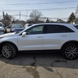 A white SUV parked on a paved lot, surrounded by several other cars. The background shows trees and houses under a clear sky.